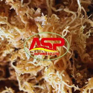 Vietnam Raw Coconut Jelly Wholesale